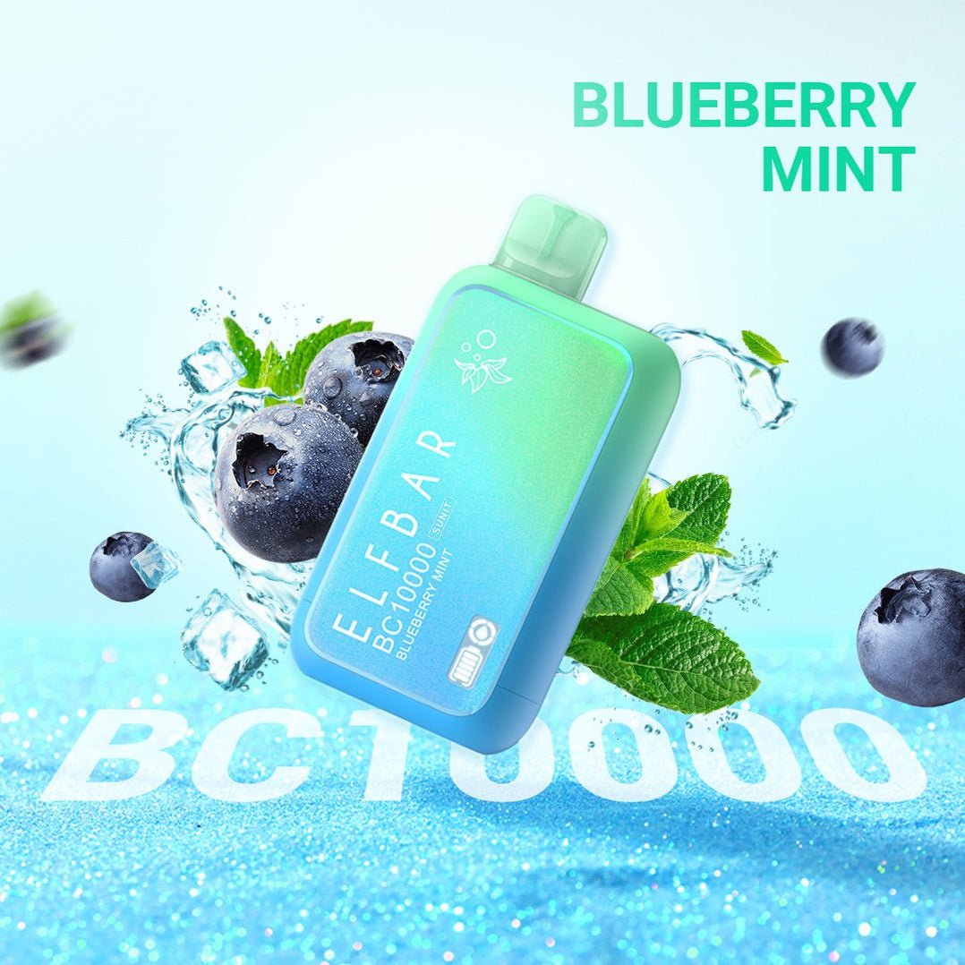 ELFBAR BC10000 Puffs 2%-20mg Nicotine Disposable Vape in Dubai